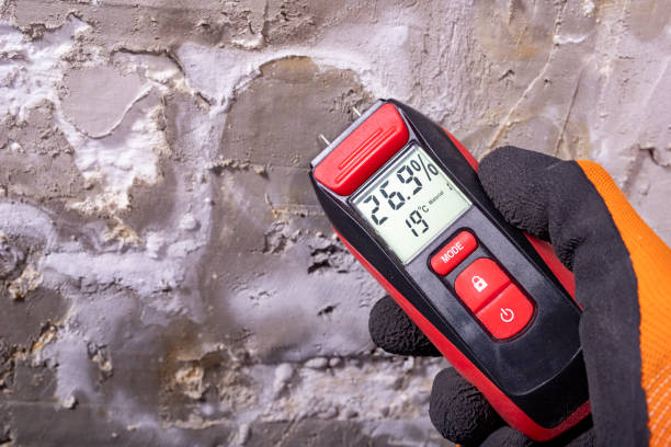 Best Mold Testing  in Bellport, NY
