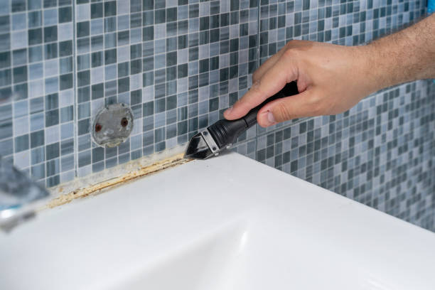 Best Home Mold Removal  in Bellport, NY