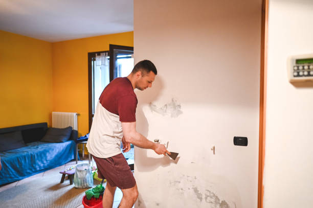 Best Toxic Mold Removal  in Bellport, NY